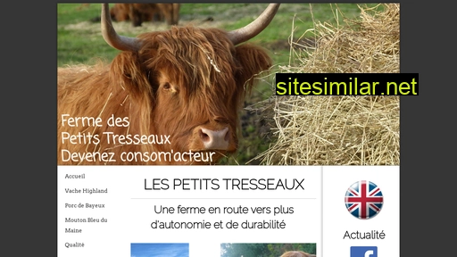 lespetitstresseaux.fr alternative sites
