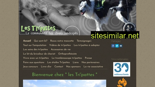 lestripattes.fr alternative sites