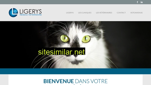 ligerys.fr alternative sites
