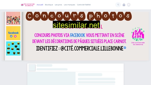 lillebonne-commerce.fr alternative sites