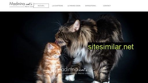 madinina-cats.fr alternative sites