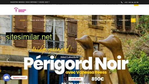 maestrobridge.fr alternative sites
