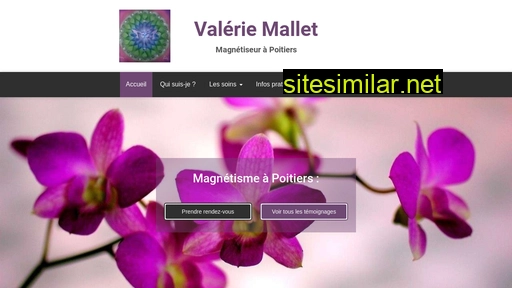 mallet-magnetisme.fr alternative sites