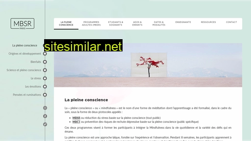 mbsr-paris.fr alternative sites