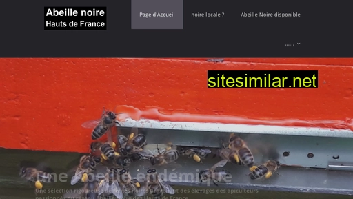 mieldenoire.fr alternative sites