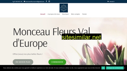 monceauvaldeurope.fr alternative sites