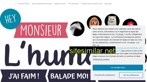 monsieur-lhumain.fr alternative sites