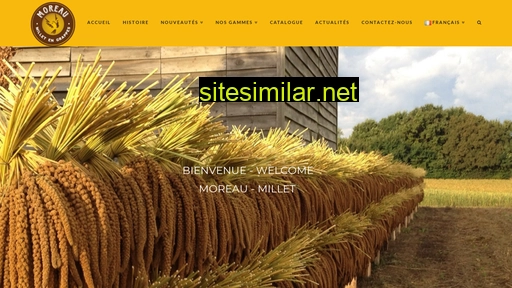 moreau-millet.fr alternative sites