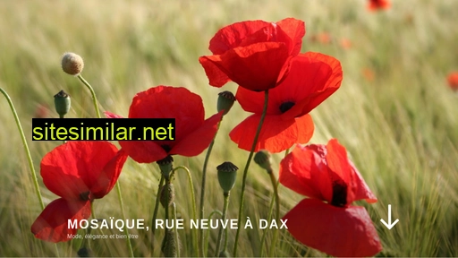 mosadax.fr alternative sites