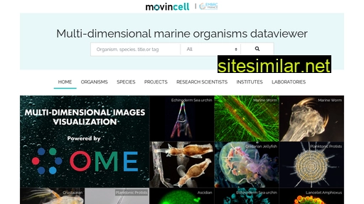 movincell.fr alternative sites
