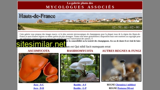 mycologues-associes.fr alternative sites