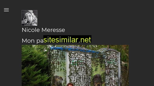 nicolemeresse.fr alternative sites