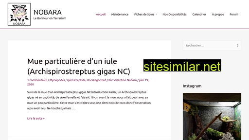 nobara.fr alternative sites
