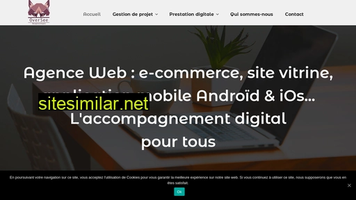 oversee-digital.fr alternative sites