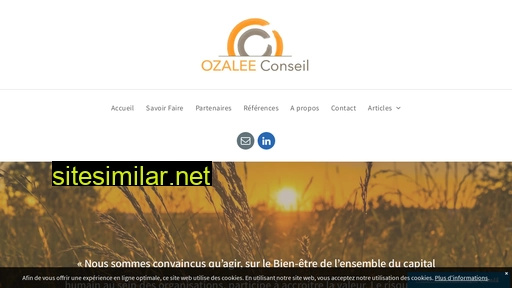 ozalee-conseil.fr alternative sites