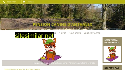 Pension-chien-danthalex similar sites