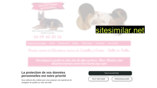 pension-education-canine-06.fr alternative sites
