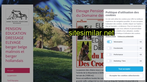 pensiondudomainedescrocsdenessy.fr alternative sites