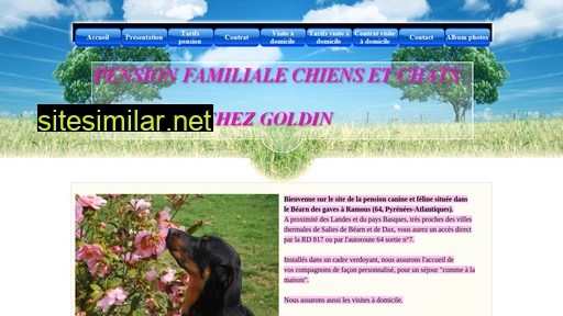 pensiongoldin.fr alternative sites