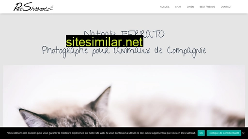 petshoot.fr alternative sites