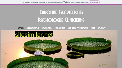 psychologieenpleineconscience.fr alternative sites