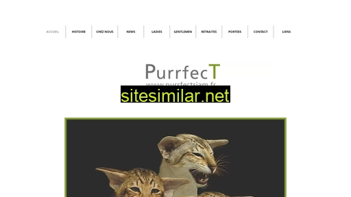 Purrfectsiam similar sites