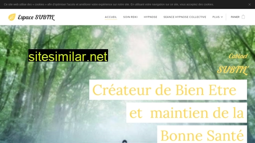 reiki-subtil-nancy.fr alternative sites