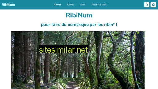 ribin.fr alternative sites