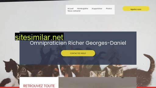 richer-georges-daniel-omnipraticien.fr alternative sites