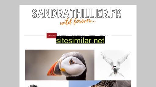 sandrathillier.fr alternative sites