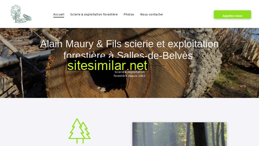 scieriemaury.fr alternative sites