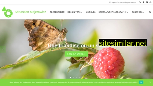 sebastien-majerowicz.fr alternative sites