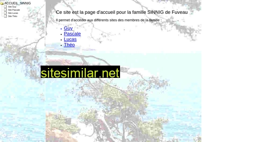 sinnig.fr alternative sites