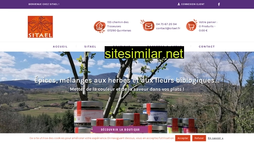 sitael.fr alternative sites