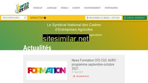 sncea.fr alternative sites