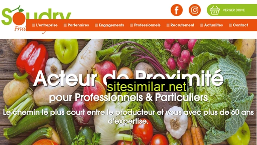 soudry.fr alternative sites