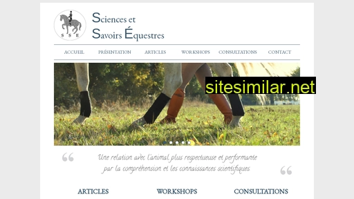 sse-services.fr alternative sites