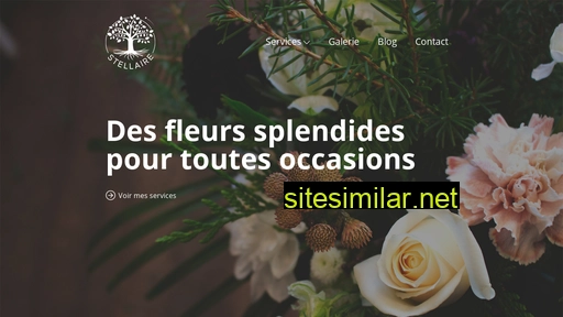 stellaire-fleurs.fr alternative sites