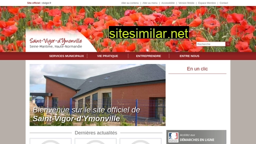 stvigor.fr alternative sites