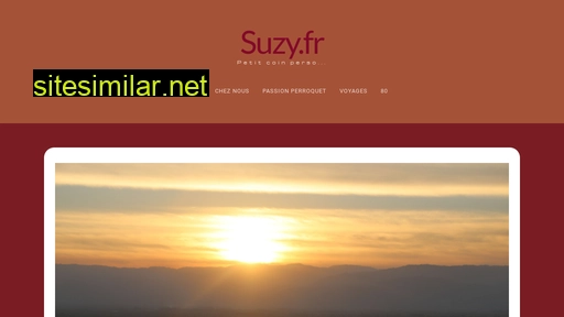 suzy.fr alternative sites