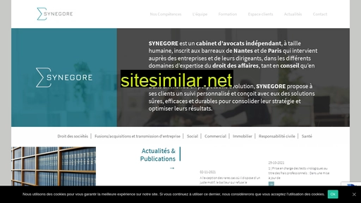 synegore.fr alternative sites