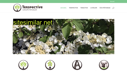 terspective.fr alternative sites