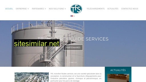 tfsgroup.fr alternative sites