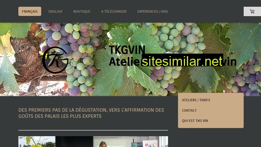 tkgvin.fr alternative sites