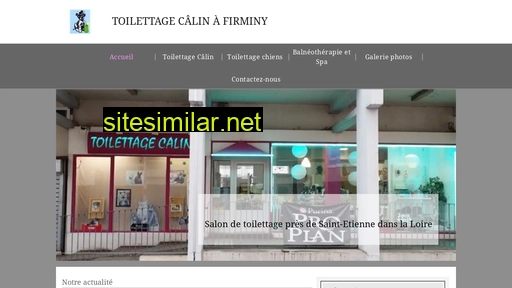 toilettage-calin-firminy.fr alternative sites
