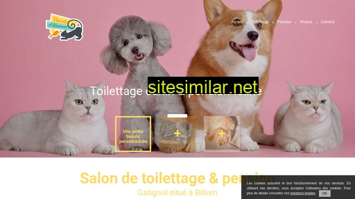 toilettage-pension-gatignol.fr alternative sites