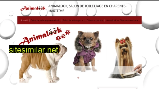 toilettage-chien-larochelle.fr alternative sites