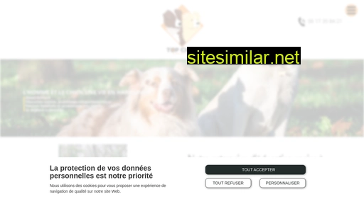 top-chien.fr alternative sites