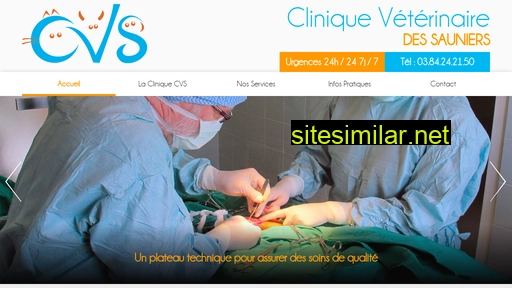 veterinaires-des-sauniers.fr alternative sites