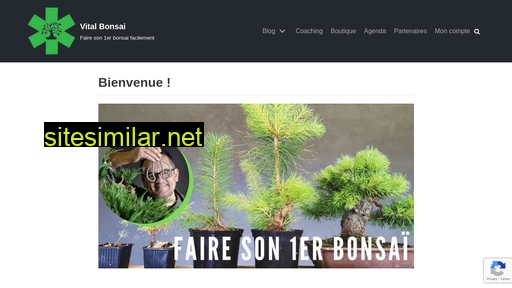 vitalbonsai.fr alternative sites